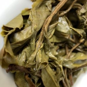 2020年老茶园古树普洱生茶单采